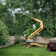 Best Tree Trimming and Pruning  in Bella Vista, CA