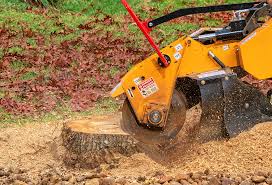 Best Utility Line Clearance  in Bella Vista, CA